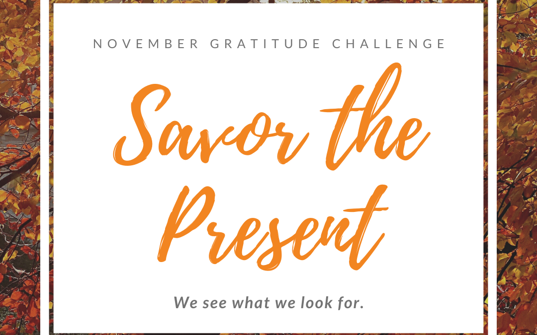 Mojo Musings – November Gratitude Challenge