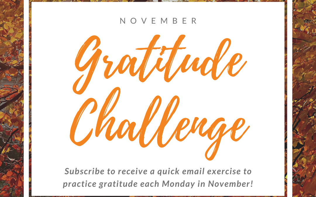 Mojo Musings – Got Gratitude?