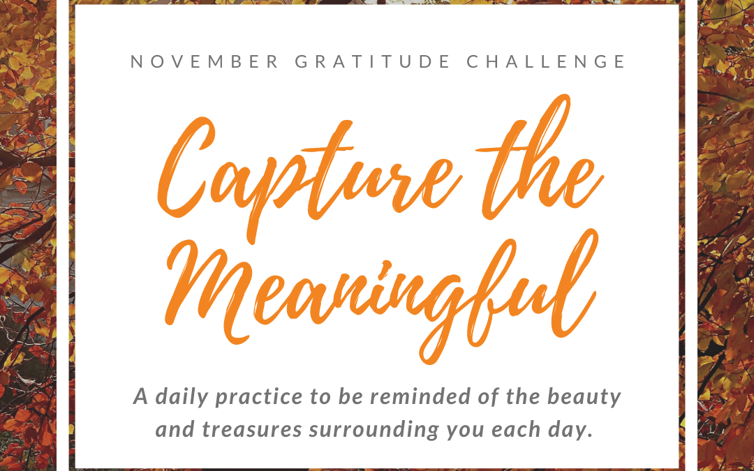 Mojo Musings – Challenge #3: Capture the Meaningful